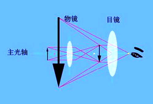 金相顯微鏡的放大倍數(shù)就是如何計算的?(圖1)