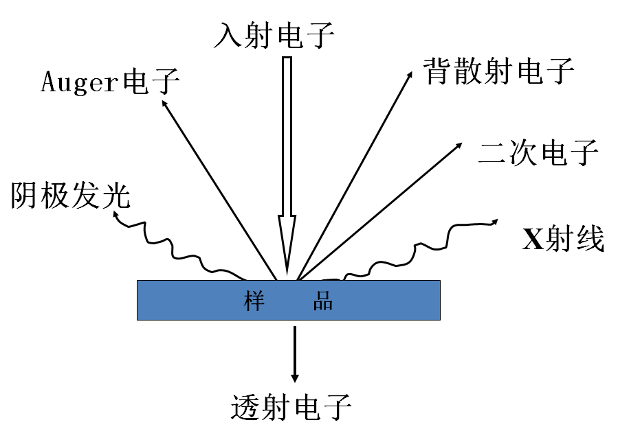 掃描電鏡的介紹