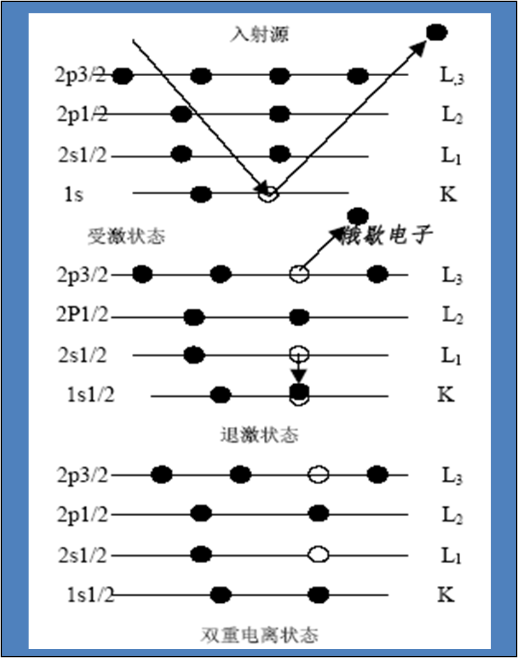 掃描電鏡的介紹(圖8)